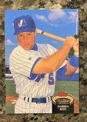 Darren Reed #824 Baseball Cards 1992 Stadium Club Prices