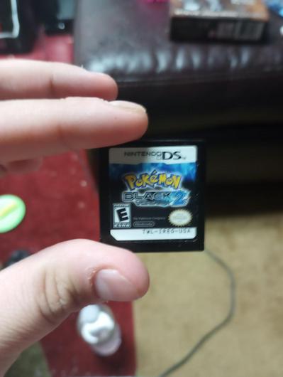 Pokemon Black Version 2 photo