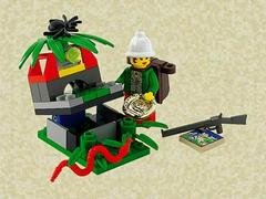 LEGO Set | Hidden Treasure LEGO Adventurers
