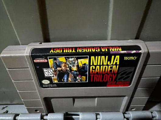 Ninja Gaiden Trilogy photo