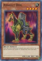 Assault Dog [1st Edition] DLCS-EN035 YuGiOh Dragons of Legend: The Complete Series Prices