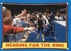 Koko B. Ware #39 Wrestling Cards 1987 Topps WWF Prices