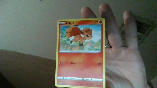 Vulpix #22 photo