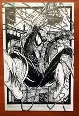 Spider-Man [McFarlane Sketch] #6 (1991) Comic Books Spider-Man Prices