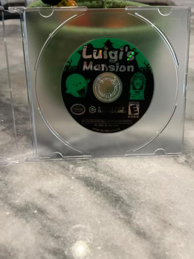 Luigi's Mansion photo