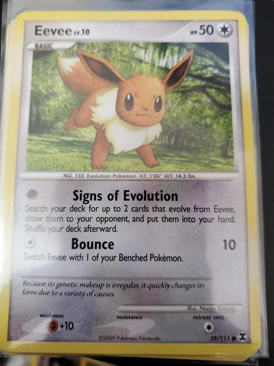 Eevee #59 photo