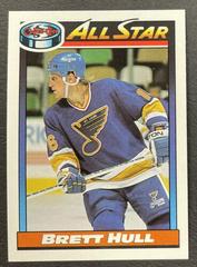 Brett Hull #259 Hockey Cards 1991 O-Pee-Chee Prices