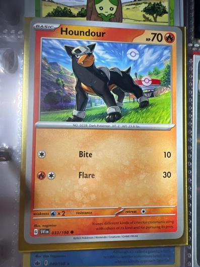 Houndour #33 photo