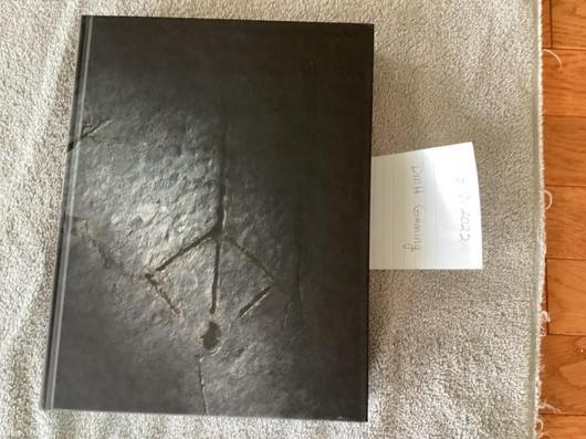 Bloodborne [Collector's Edition] photo