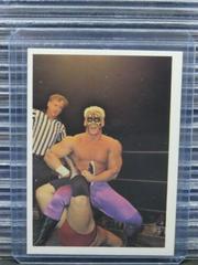 Sting #102 Wrestling Cards 1988 Wonderama NWA Prices