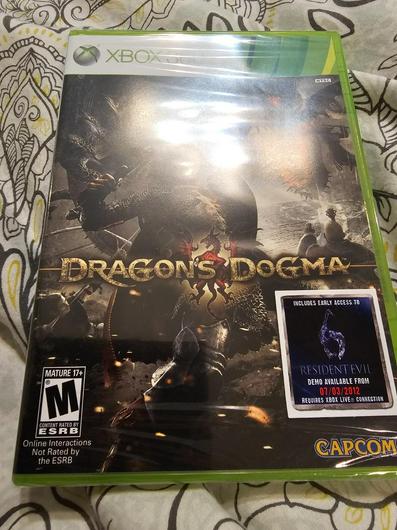 Dragon's Dogma photo