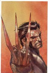 Wolverine Weapon X [Garney Virgin] Comic Books Wolverine Weapon X Prices