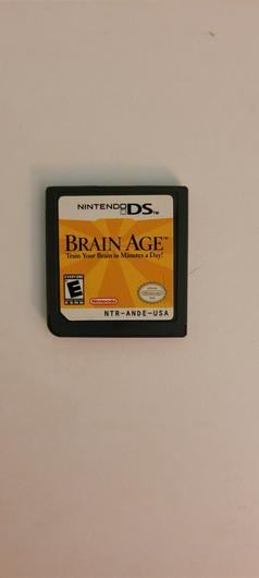 Brain Age photo