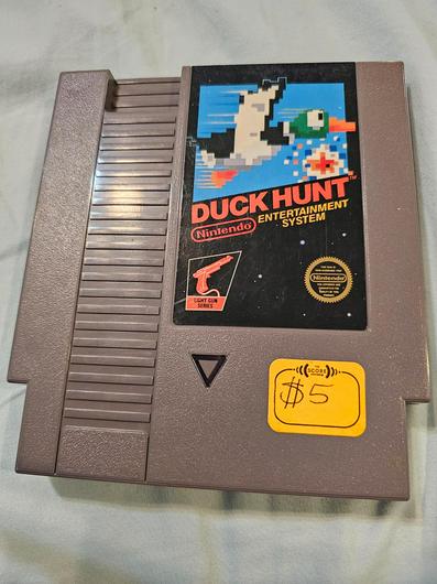 Duck Hunt photo