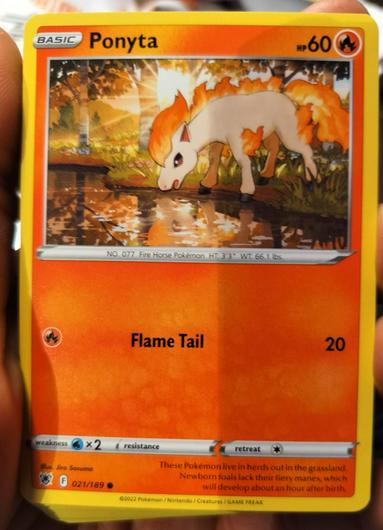 Ponyta #21 photo