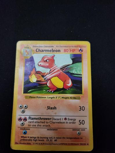 Charmeleon #24 photo