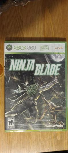 Ninja Blade photo