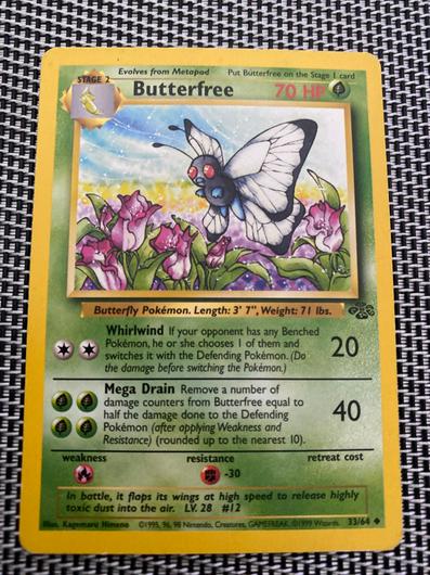 Butterfree #33 photo