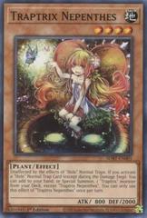 Traptrix Nepenthes YuGiOh Structure Deck: Beware of Traptrix Prices