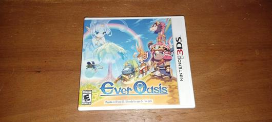 Ever Oasis photo