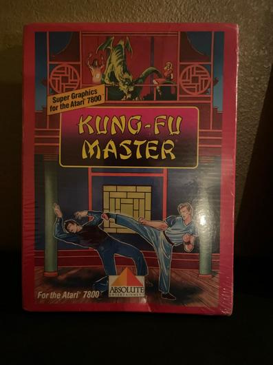 Kung-Fu Master photo