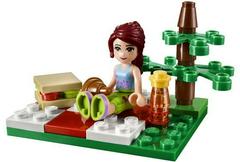 LEGO Set | Summer Picnic LEGO Friends