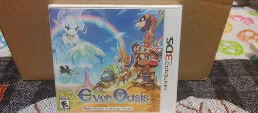Ever Oasis photo