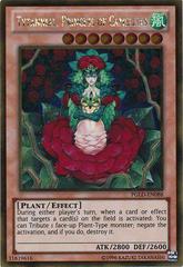 Tytannial, Princess of Camellias PGLD-EN088 YuGiOh Premium Gold Prices