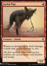 Jackal Pup Magic Mystery Booster Prices