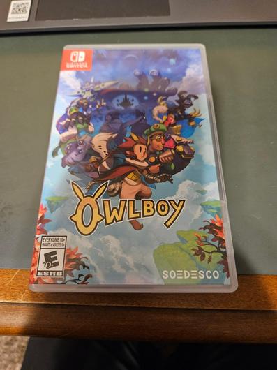 Owlboy photo