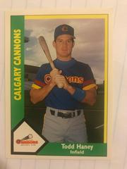 Todd Haney #18 Baseball Cards 1990 CMC Calgary Cannons Prices