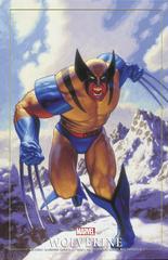 Wolverine: Madripoor Knights [Greg & Tim Hildebrandt] #2 (2024) Comic Books Wolverine: Madripoor Knights Prices