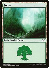 Forest #65 Magic Duel Deck: Mind vs. Might Prices