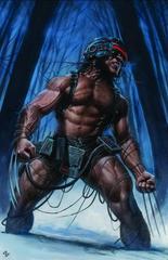 X Lives of Wolverine [Granov Virgin] #4 (2022) Comic Books X Lives of Wolverine Prices