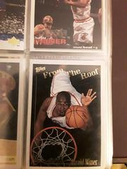 Harold Miner [From the Roof] #124 Basketball Cards 1994 Topps Prices