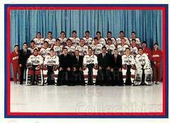Washington Capitals #111 Hockey Cards 1990 Kraft Prices