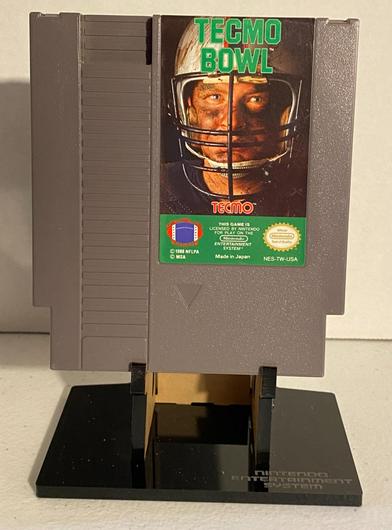 Tecmo Bowl photo