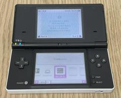 System | Nintendo DSi Development Kit [Panda] Nintendo DS