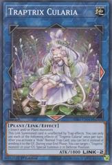 Traptrix Cularia SDBT-EN041 YuGiOh Structure Deck: Beware of Traptrix Prices