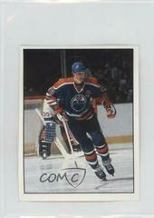 Wayne Gretzky #389 Hockey Cards 1987 Panini Stickers Prices