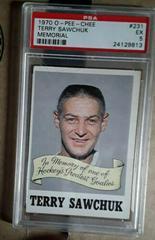 Terry Sawchuk Memorial Hockey Cards 1970 O-Pee-Chee Prices