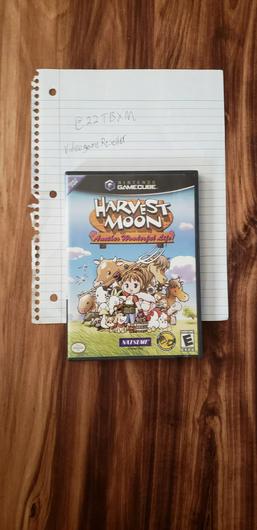 Harvest Moon Another Wonderful Life photo