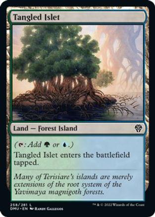 Tangled Islet #258 Magic Dominaria United