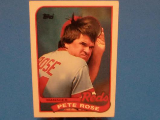 Pete Rose #505 photo