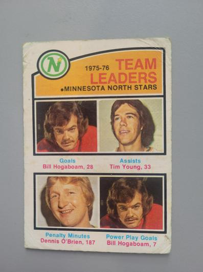North Stars Team [Leaders] #387 photo