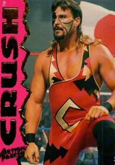 Crush #12 Wrestling Cards 1995 Action Packed WWF Prices
