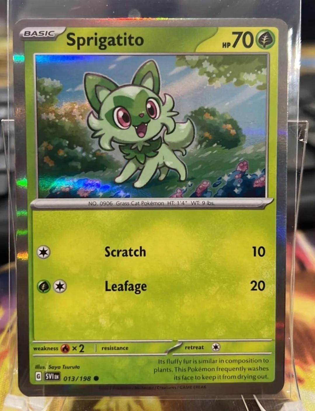 Sprigatito [Holo] #13 Prices | Pokemon Scarlet & Violet | Pokemon Cards