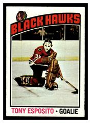 Tony Esposito #100 Hockey Cards 1976 Topps Prices