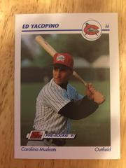 Ed Yacopino Baseball Cards 1991 Impel Line Drive Pre Rookie AA Prices