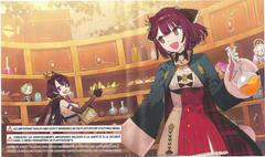 Back Inlay | Atelier Sophie 2: The Alchemist of the Mysterious Dream Playstation 4